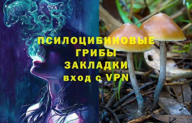 цена   kraken tor  Псилоцибиновые грибы ЛСД  Свирск 